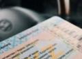 Схема с фальшивыми правами: мошенник задержан в Туркестанской области