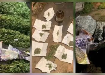 72 кг наркотиков изъяли транспортные полицейские у акмолинца